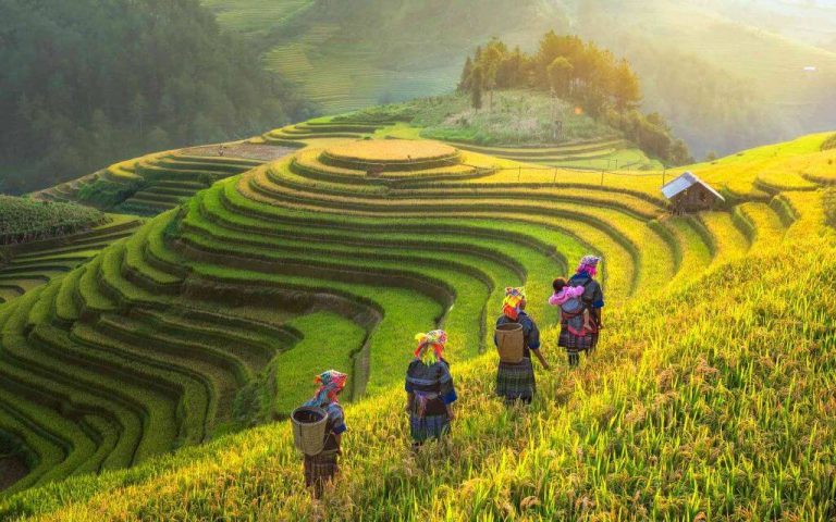 7 Days 6 Nights Vietnam Muslim tour